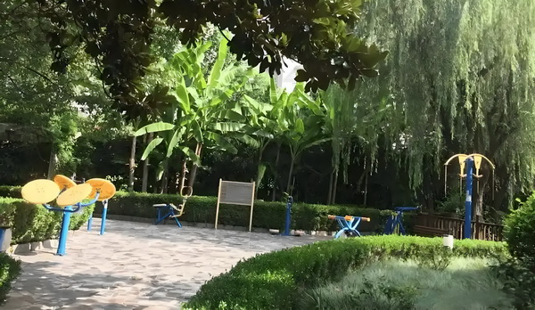 转深圳户口2025_偶遇何猷君穿两年前的增高鞋，奚梦瑶外八严重 们纷日粉丝纷送上生